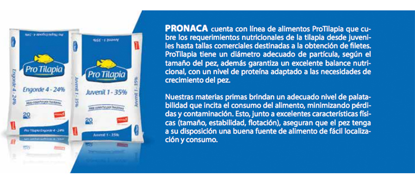 Seguro dígito Aceptado Manejo y nutrición de la tilapia