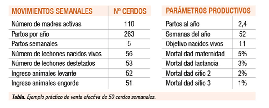 Planificación de la empresa porcina