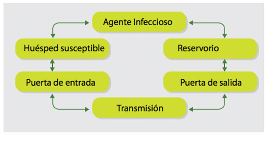 Un adecuado programa de bioseguridad podría salvar su producción