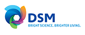 DSM