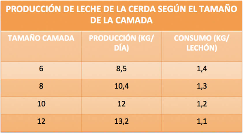 Manejo del lechón recién nacido