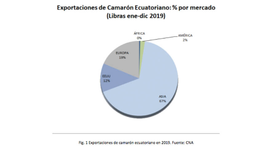 El efecto del COVID-19 en la industria camaronera de Ecuador