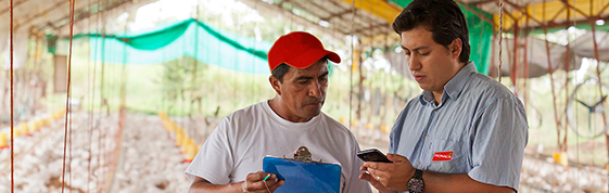 ASESORÍA TÉCNICA