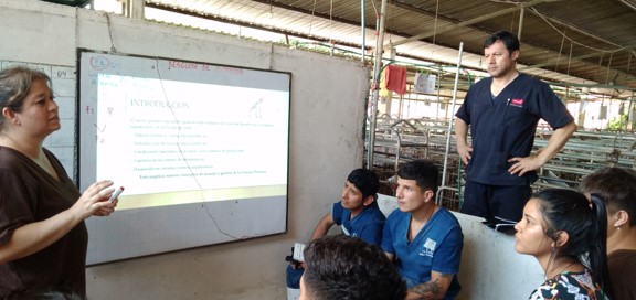 escuela_nuporca1