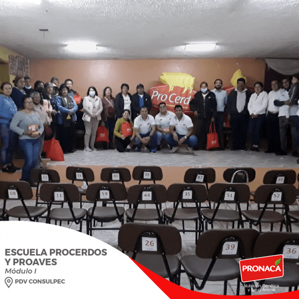 CONSULPEC---FB1