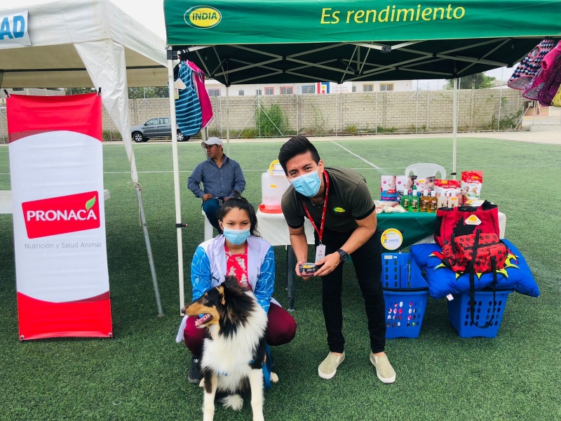 feria_mascotas8