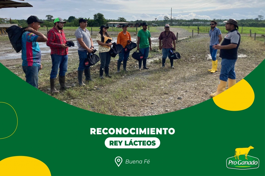 REY-LACTEOS---FB1