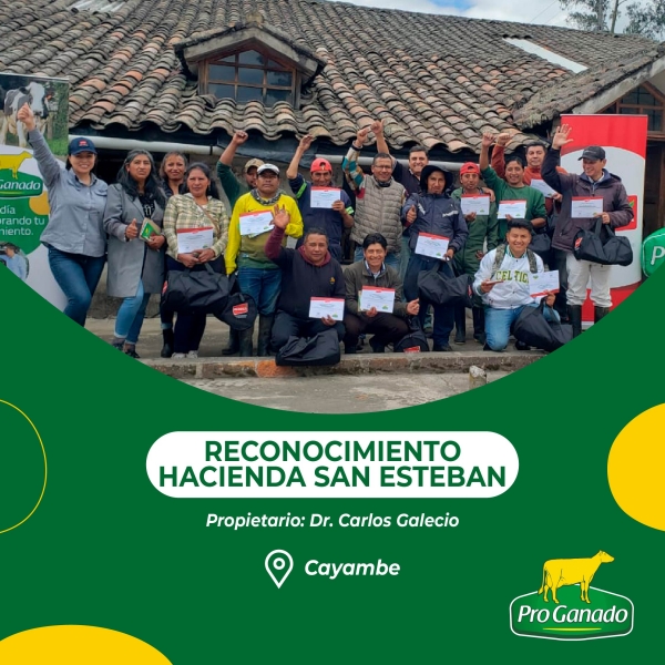 SAN-ESTEBAN---FB1