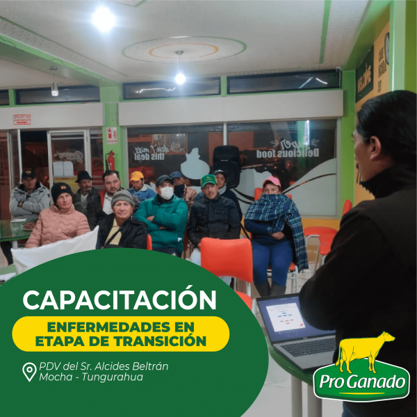 TUNGURAHUA_Imagen-Mar-2023