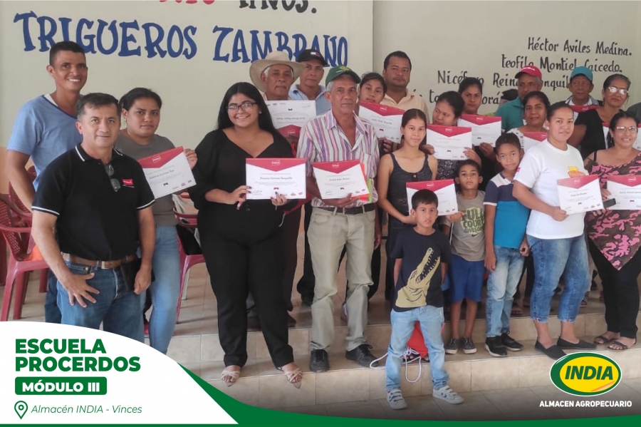 VINCES---FB1