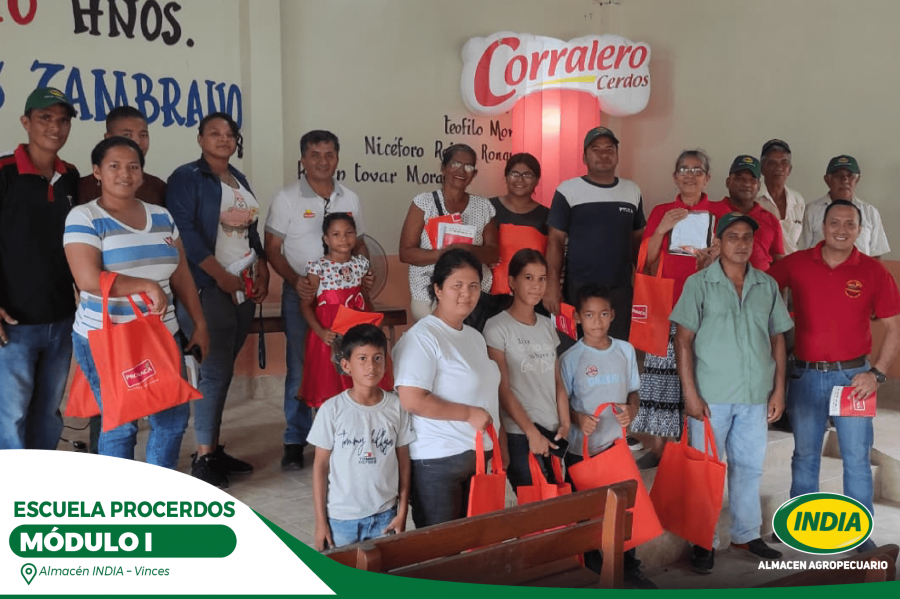 VINCES---FB1