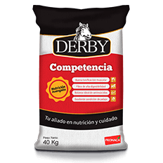 derby-competencia