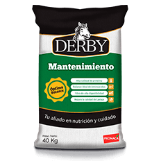 derby-mantenimiento9