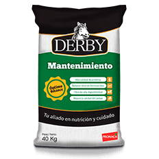 derby-mantenimiento