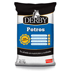 derby-potros4
