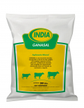 India-Ganasal-(Normal)-20Kg-JUN-23